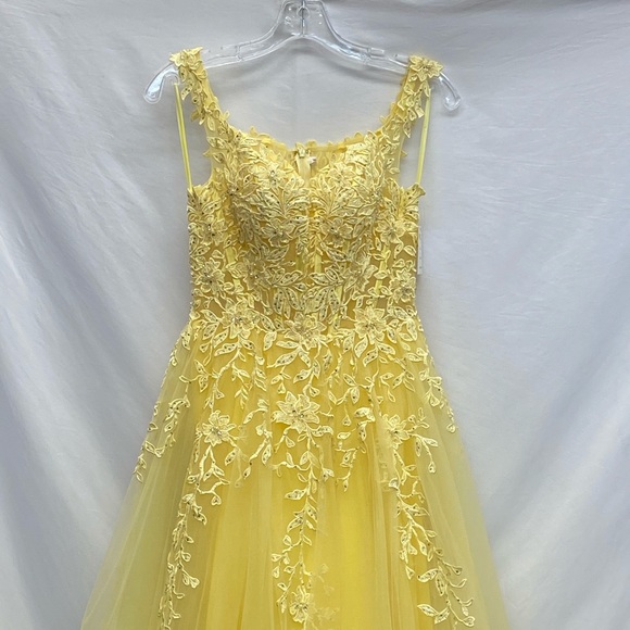 Ellie Wilde embroidered fit and flare sleeveless long Gown - Picture 11 of 11